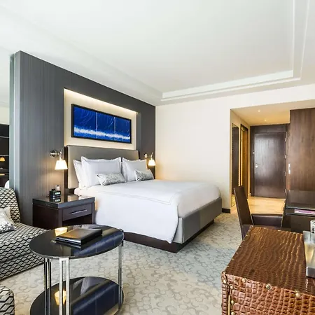 Hyatt Regency San Luis Potosi-2